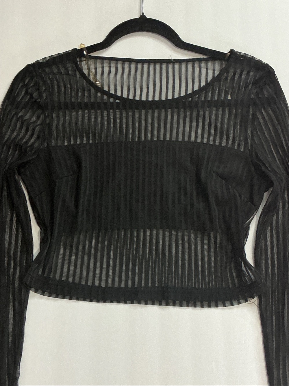Black Sheer Stripe Long-Sleeve Top (Mesh)